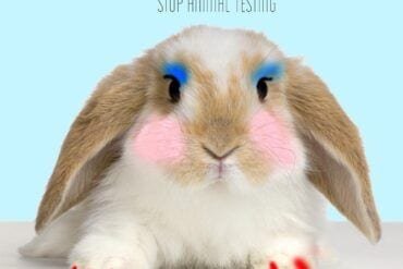 Cruelty Free