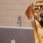 2018 02 skype interview Photo