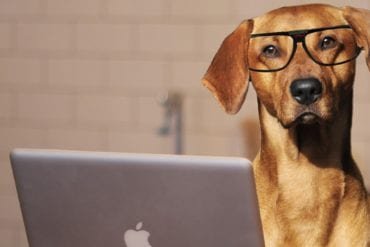 2018 02 skype interview Photo