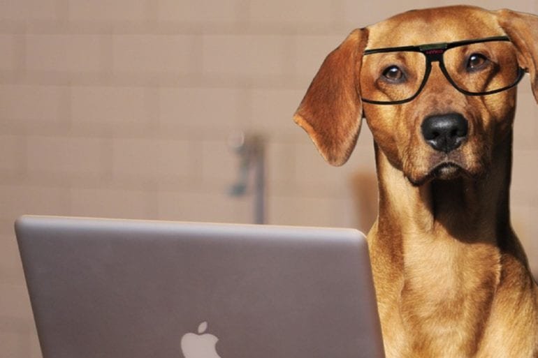 2018 02 skype interview Photo