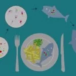plastic ocean