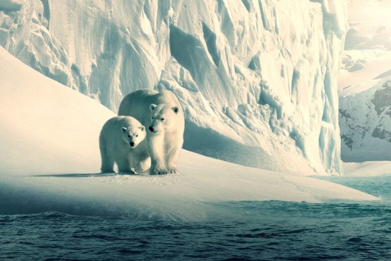 6d87158df0638b8335e825a9b166a2dd6843b866