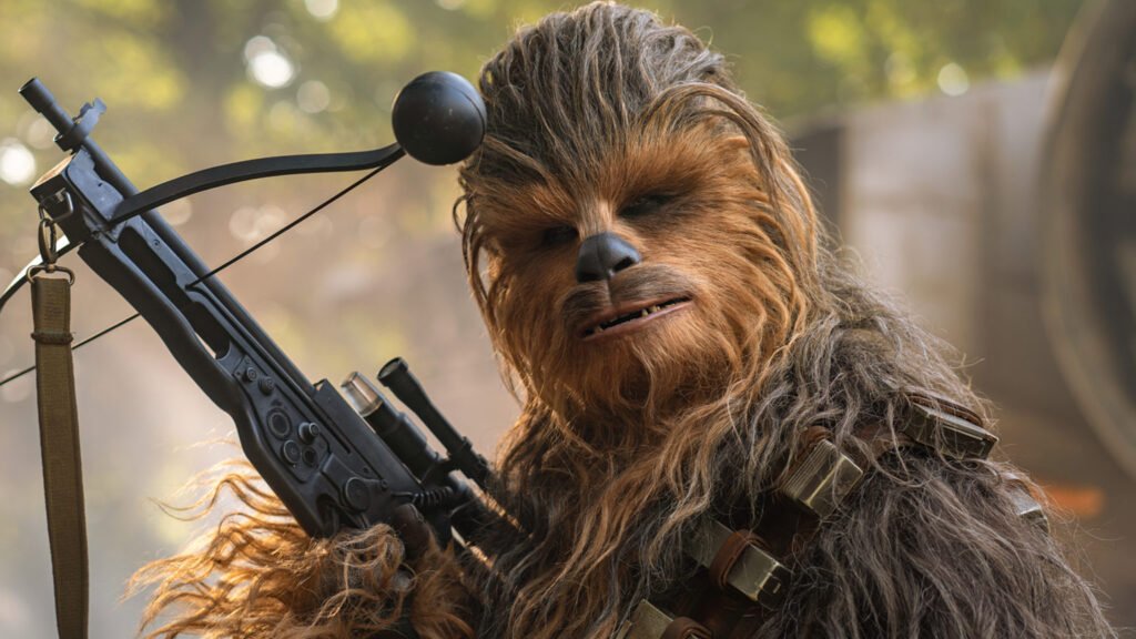Chewbacca chewbacca star wars